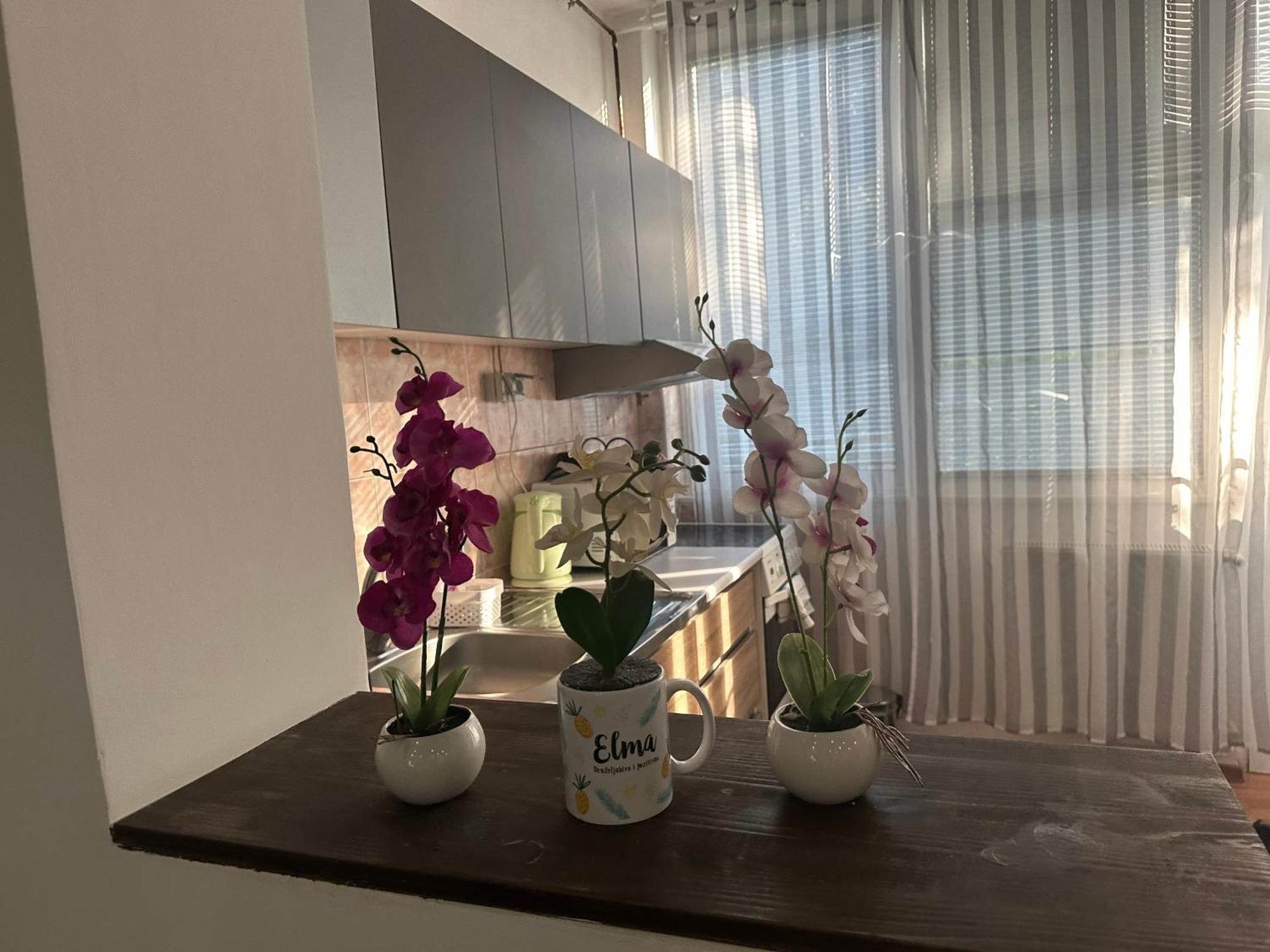 Elma Apartments Sarajevo Bagian luar foto